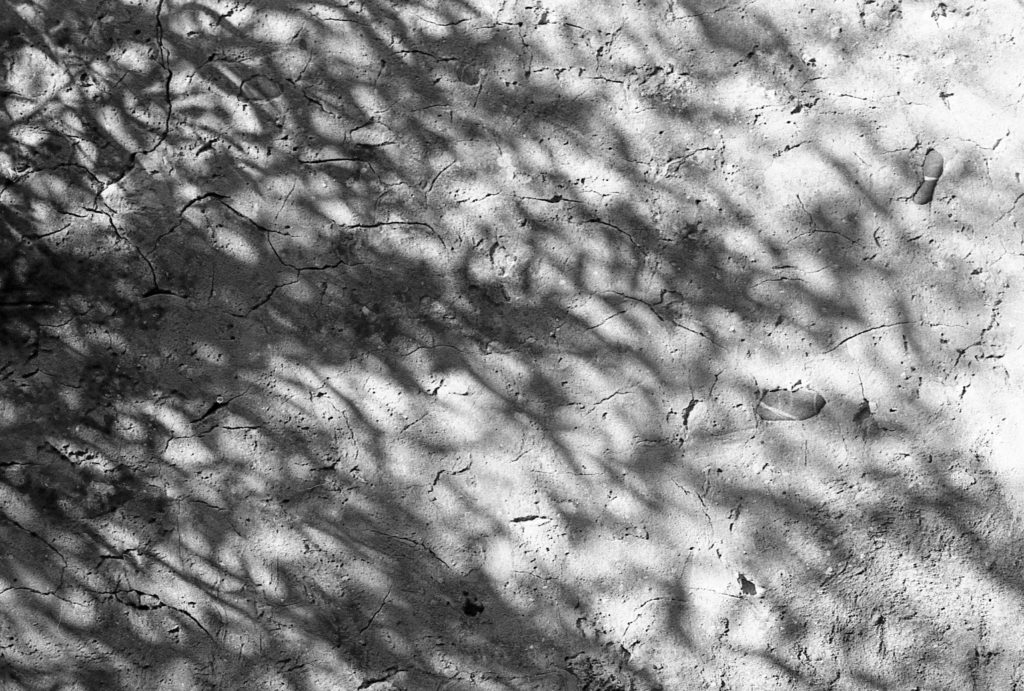 A cup of PC-TEA - Pierre Killmayer - Photo developer review