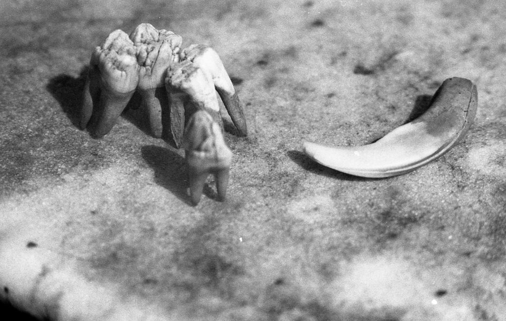 A cup of PC-TEA - Pierre Killmayer - Photo developer review